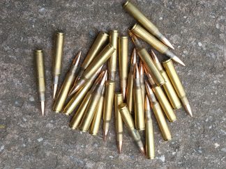.30/06 Inert x 20 rounds