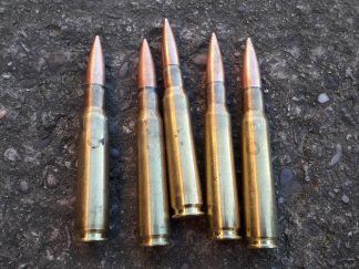 .50 cal inert x 5